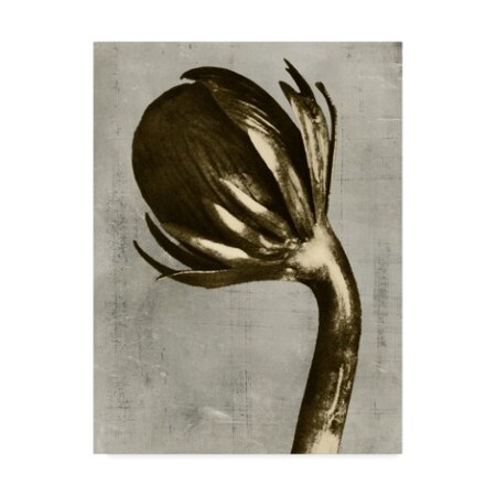 Trademark Fine Art